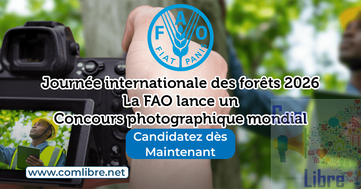 Célébration de la Journée internationale des forêts 2026 : La FAO lance un concours photographique mondial